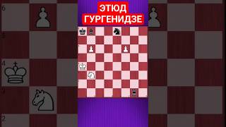 💥ОСТРОУМНАЯ КОНТРИГРА - УЛЬТРАХАРД #chesspuzzle #шахматныезадачи #шахматы #chess