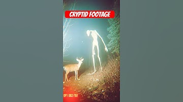 Cryptid Sighting: Unexplained Creature Caught on Trail Cam