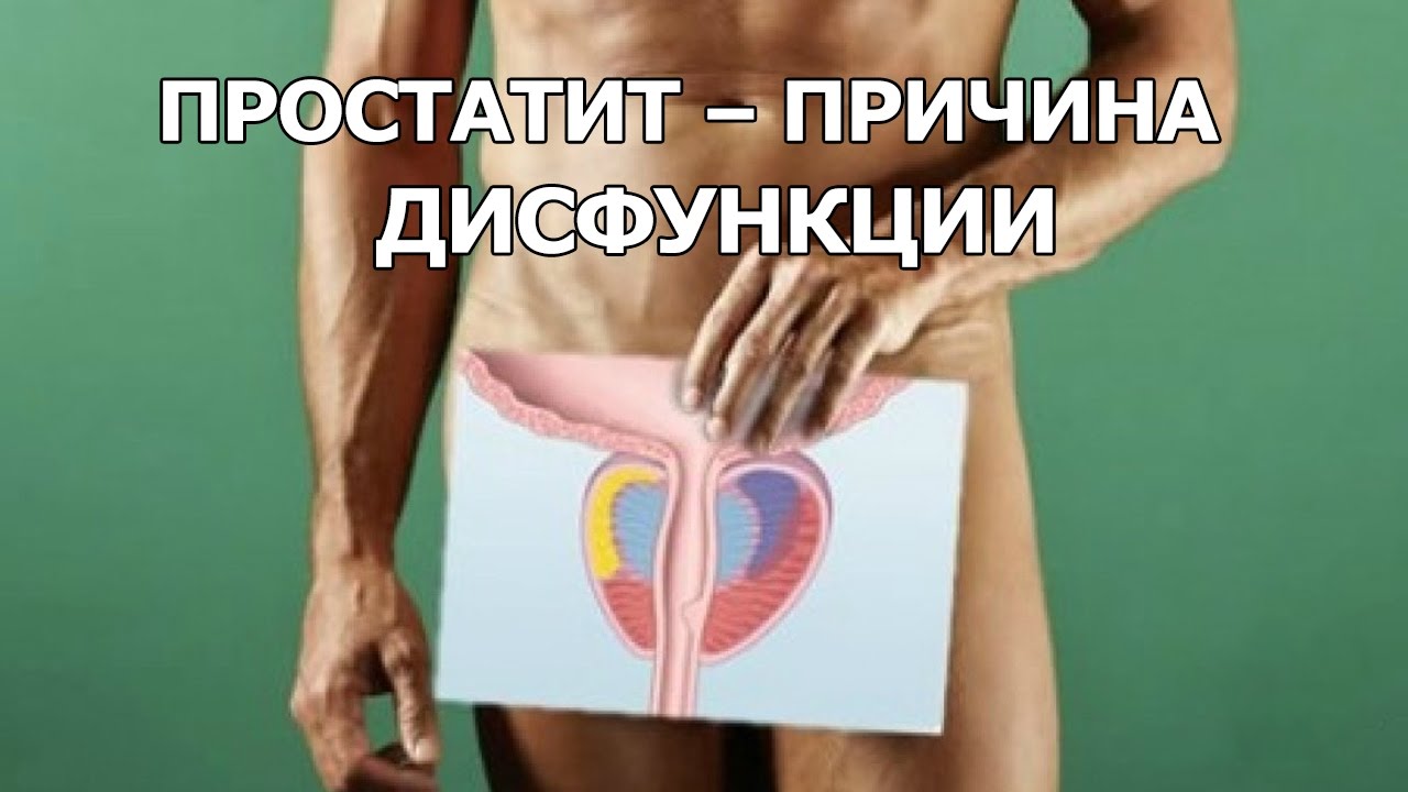 симптомы заболевания почек. застудят. простудил почки симптомы. боли в животе у женщин. возможно ли застудить.