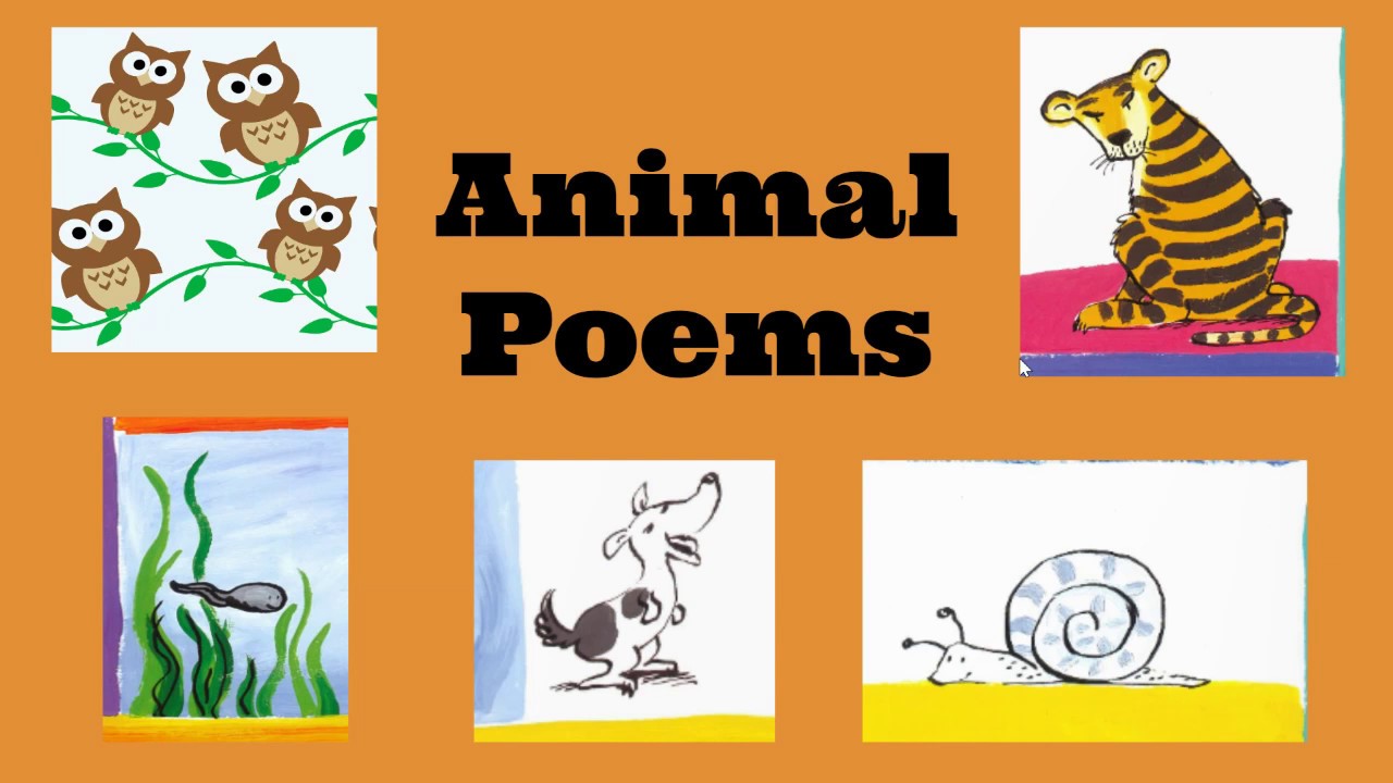 Poems about animals #poetry for children fun literacy learning - YouTube