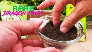 How EARTHWORM CASTINGS and TEA Improve DRAGON FRUIT Growth ( VermisTerra Product Review )