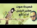 صوت صفير البلبل مصطفى جلال أبو عمار 