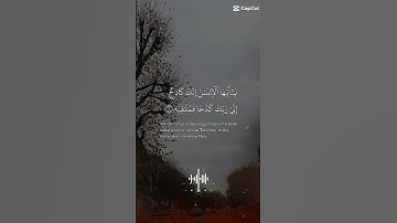 تلاوة خاشعة للشيخ سعد الغامدي ماتيسر من سورة الانشقاق
