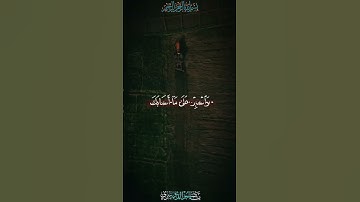 قرآن كريم قران بصوت جميل يريح القلب #قرآن #قرآن_كريم #قران #هل_تعلم #قران_كريم #تلاوة_خاشعة