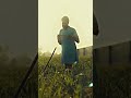 Panjab Intro 🙏 #arjandhillon #shortsvideo #youtube #newpunjabisong #latestpunjabisongs2023