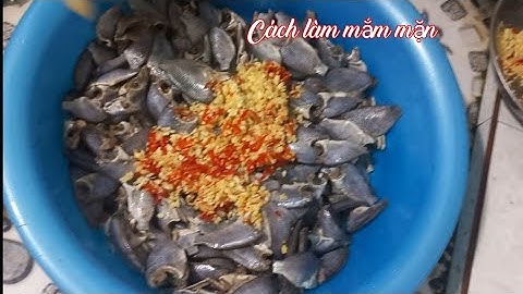 Chia sẽ cách làm mắm mặn cá rô phi