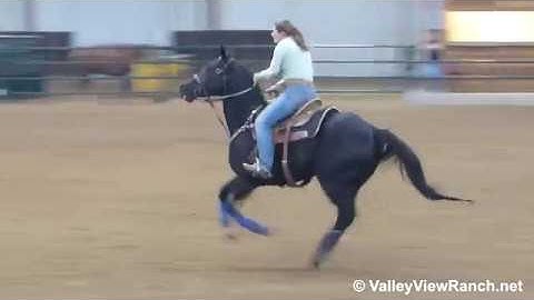 Jack - running the barrels #1! - ValleyViewRanch.net