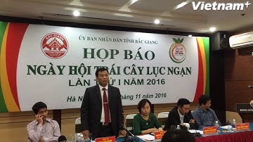 Ngày hội trái cây Lục Ngạn quảng bá các sản phẩm nông sản chủ lực
