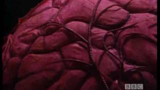 The Doctor is captured - Classic Doctor Who: Time and the Rani - BBC
