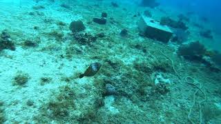 Cozumel underwater