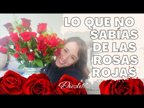 Video: Que Simboliza Un Ramo De 5 Rosas Rojas