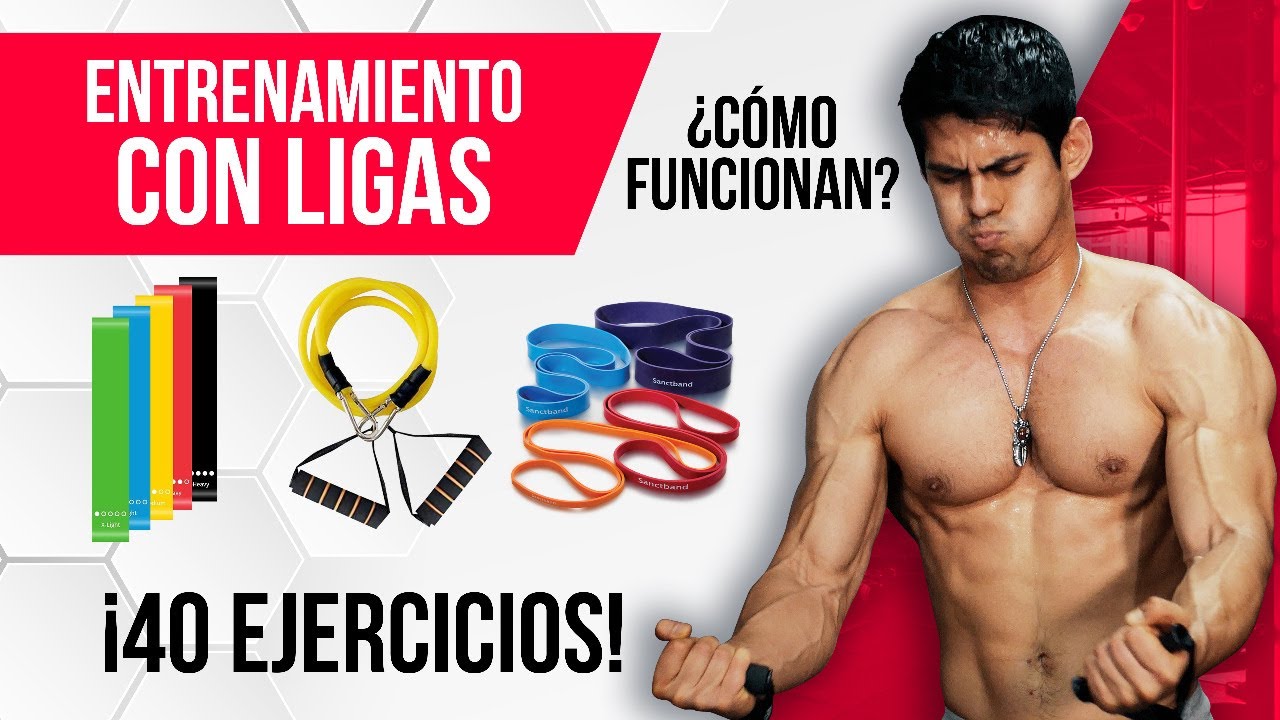 Juego de 11 bandas de resistencia para ejercicio físico y entrenamiento de  fitness con cuerda elástica para entrenamiento de musculación, cuerpo