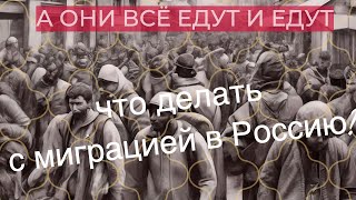 А они все едут и едут: что делать с миграцией в Россию?