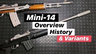 Ruger Mini14 Overview, History & Variants