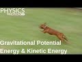 Kinetic and Potential Energy in Motion and Transformation
