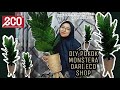 DIY POKOK MONSTERA | ECO SHOP|| MUDAH DAN CANTIK☘️☘️