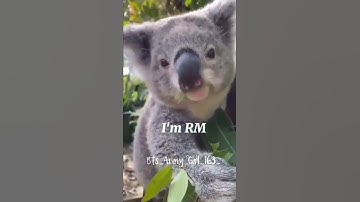 Army Editing is another level🔥😂🤣Wait for #jin & #Suga 🤭#Shorts #Bts #Kimtaehyung #k #Jimin #Rm