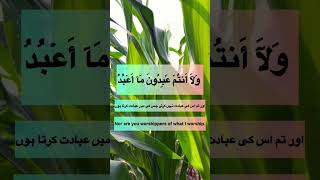 Surat Al kafirun please follow my channel