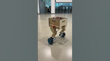 Exploring the Self-Balancing Robot: Technology and Mechanics
