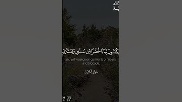 القارئ راشد الحليبة #راشد_الحليبة