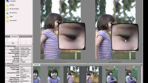 Introduction to Adobe Bridge