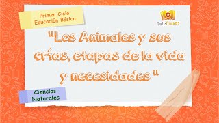 2º BÁSICO/CIENCIAS NATURALES - Los Animales y sus crías, etapas de la vida y necesidades
