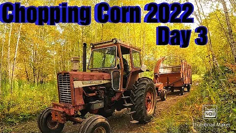 Chopping Corn 2022/Day 3