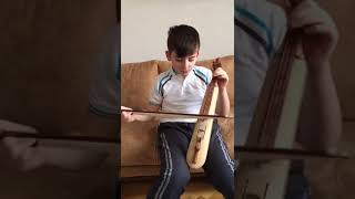 Mimoza Çiçeği Resimi