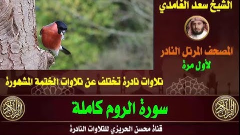 الشيخ سعد الغامدي سورة الروم تلاوة نادرة وقديمة من تلاوات صلاة القيام مختلفة عن الختمة الأصلية ت