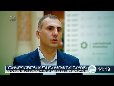 ალეკო ელისაშვილმა „საქართველოს სამოქალაქო მოძრაობა” დააფუძნა