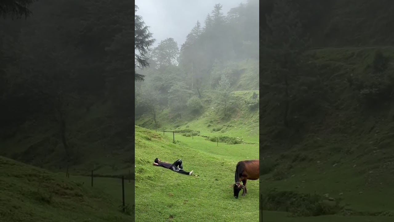 no call no network just living a life 