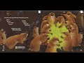 The Great Fuzz Frenzy Quiz