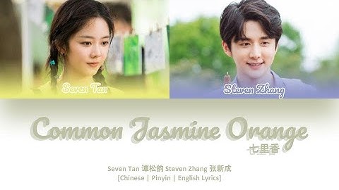 [CHI/PYN/ENG] Seven Tan 谭松韵 Steven Zhang 张新成《Common Jasmine Orange 七里香》Cover【Little Forest 奇妙小森林】