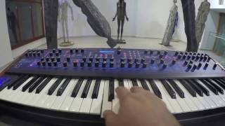 0 Coast Lead, Polyevolver Sequence (Fly by) - Gallery Jam Excerpt #4