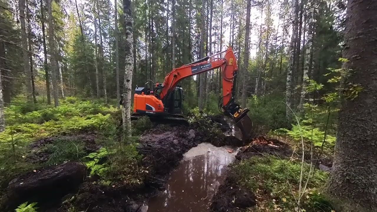 Ojan siivousta - Doosan DX140