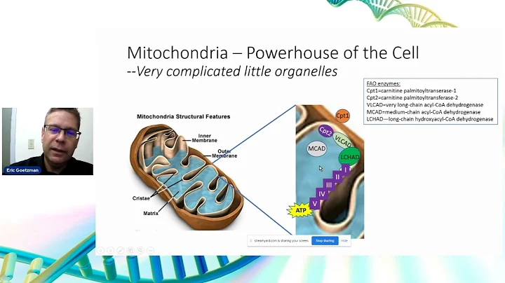 How Mitochondria Change & Understanding Strange Words: ROS & Cardiolipin- Dr. Eric Goetzman