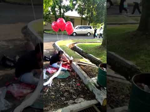 Peniupan Balon Gas Pelepasan