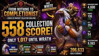 I Got 558 Collection Score in One Week! Only 1,017 Until Wrath | WoW Completionist Challenge Ep. 14