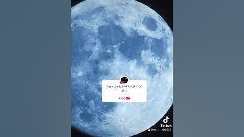 ايات قرانيه #القارئ_محمد_عبد #يارب_فوضت_امري_اليك #التوحيد_والسنة #ايات_قرانيه_قصيره #التوحيد