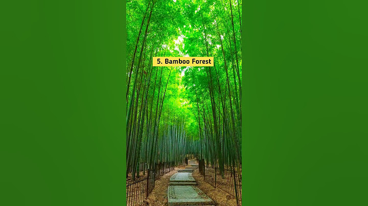 Best Places To Visit In Wayanad 😍♥️