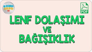 Lenf Dolaşımı ve Bağışıklık | AYT Biyoloji 2020