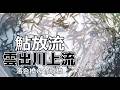 【雲出川上流】鮎放流！今年は鮎釣りは期待大！！＃雲出川上流＃鮎