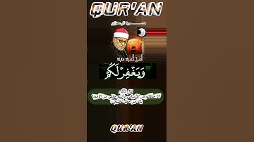 سيد سعيد♡ [سورة ال عمران]