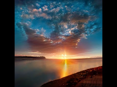 Feel The Sea