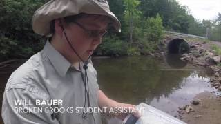 ECOCURIOUS VLOG #24: Culvert Tutorial Part One - Getting Organized
