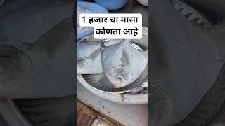 आज चा दिवस खूप कामाचा असतो #shortsfeed #minivlog #viral #food #recipe #dailyroutine #love #youtuber