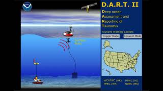 Tsunami Warning Buoy Visualization