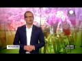 Sports United - Episode 14