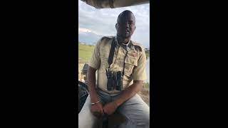 Mahali Mzuri #sofasafari | Episode 7