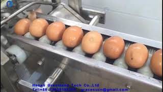 Full egg liquid processing line